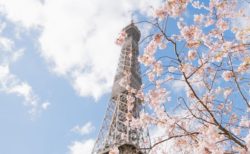 スタッフ同士の関係