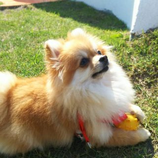 管理者プロフィール